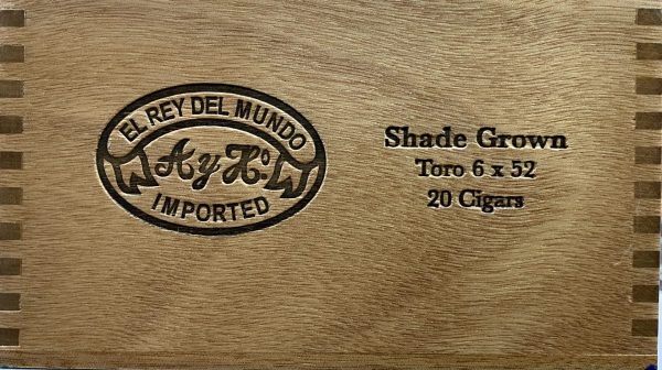 El Rey Del Mundo Toro